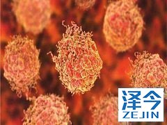 阿比特龙治疗前列腺癌效果好且副作用小