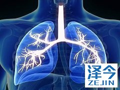 尼达尼布会引起肝损伤吗