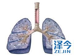 如何使用尼达尼布?