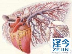 尼达尼布胶囊在国内上市了吗?