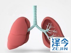 尼达尼布的抗肿瘤效果如何