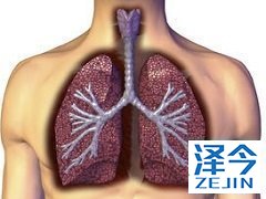 吡非尼酮和尼达尼布可降低间质性肺病患者肺功能下降速度