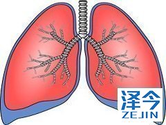 尼达尼布(NINTEDANIB)吡非尼酮疗效并无差异