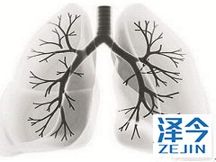 尼达尼布的作用机制是怎样的呢