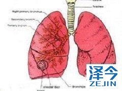 尼达尼布与多西紫杉醇联合治疗效果更好
