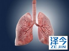 为什么在使用尼达尼布的过程中要对身体进行监测？