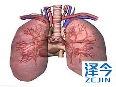 尼达尼布在使用的过程中需要注意的事项