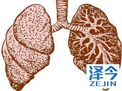 尼达尼布能够控制肺纤维化进程