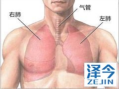 使用尼达尼布能够延长患者的总生存期吗