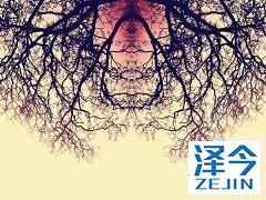 尼达尼布对于肺功能不良的IPF患者治疗有效吗