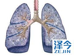 患者使用尼达尼布的过程中需要进行肝功能检查