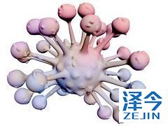 患者伴有晚期进展性类癌使用尼达尼布治疗