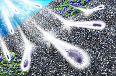 关于慢性髓性白血病（CML)你知道多少？